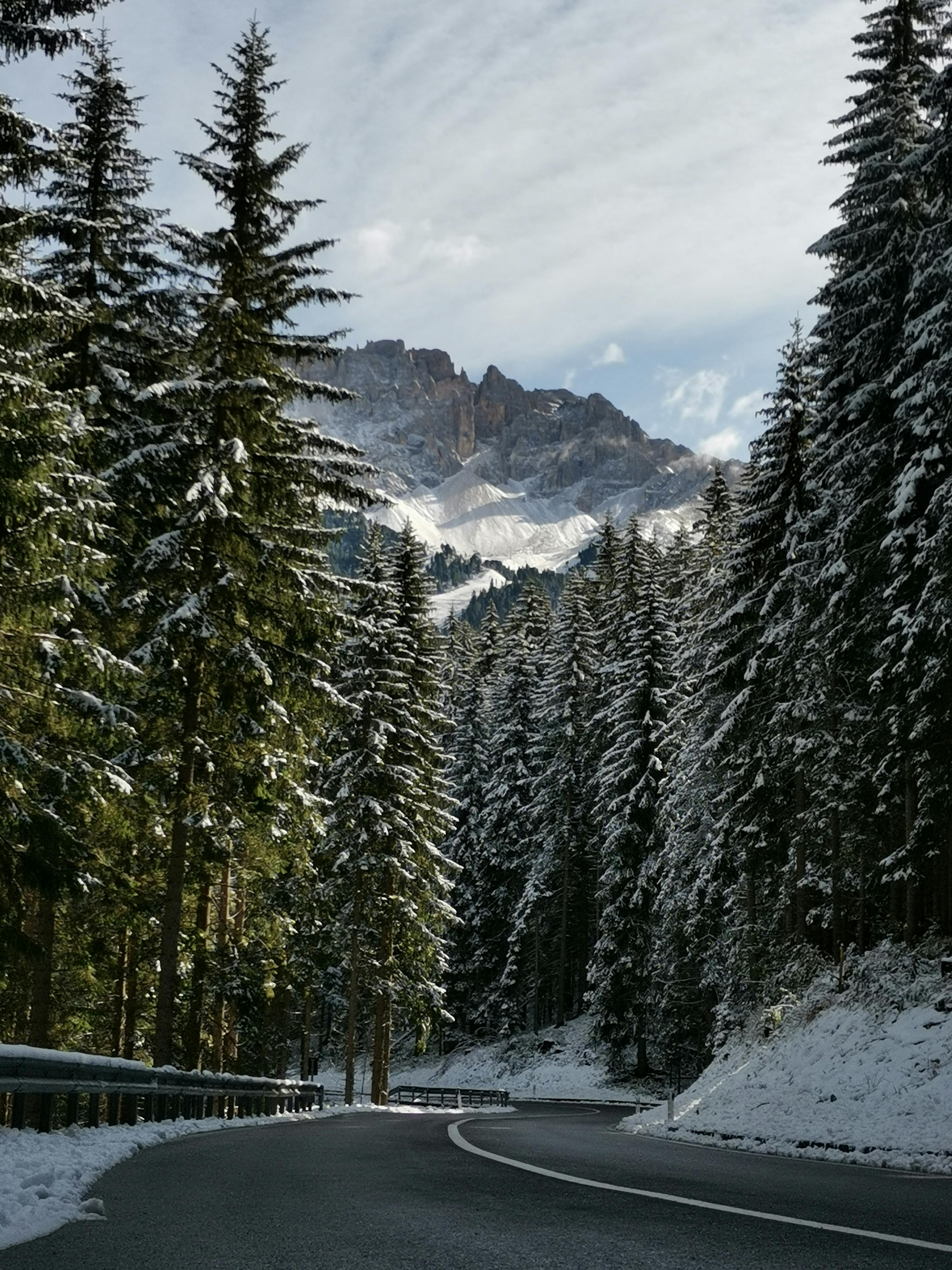 Pexels alberto brunello 302575962 15595687