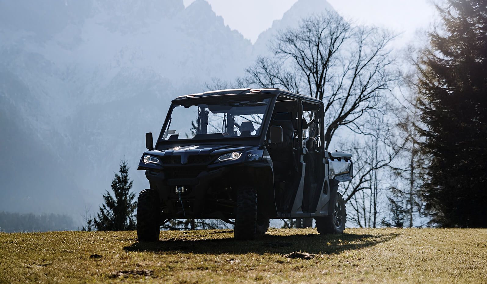 Buggy cover